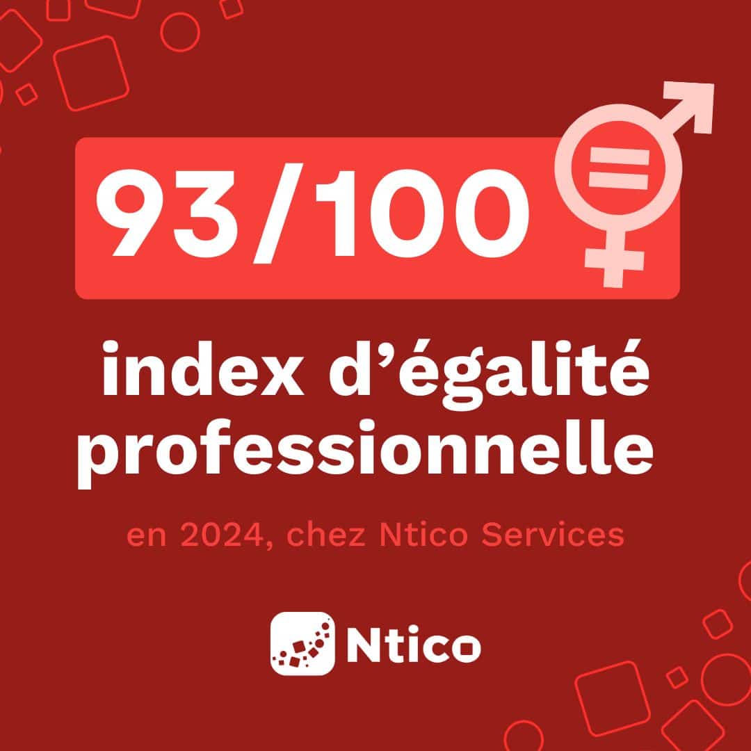 INDEX D'ÉGALITÉ PROFESSIONNELLE